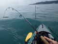Gumotex Halibut Ray Fishing in the Fal Estuary
