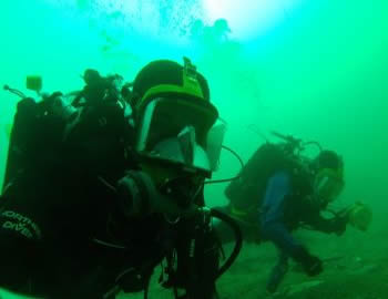 Henry Diving in Plymouth Sound