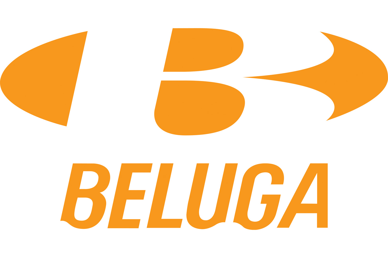 Beluga Paddling equipment