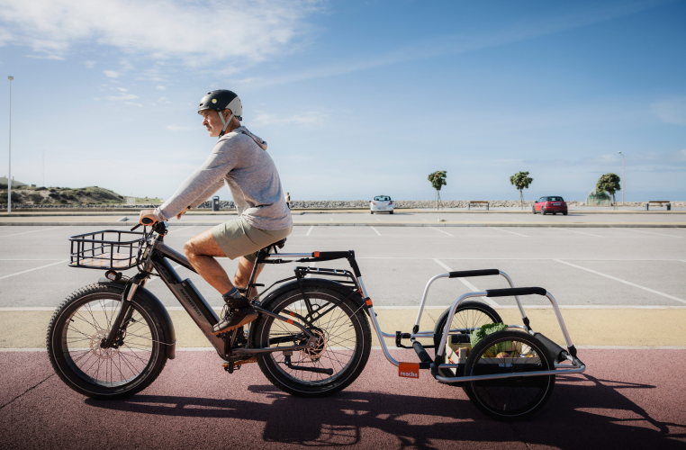 Reacha City Bike Trailer for shopping trips